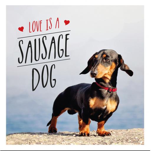 Hardback Book Love Is A Sausage Dog