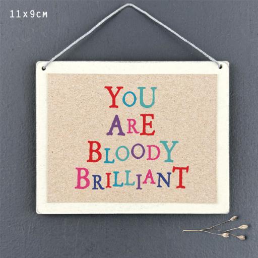 You are bloody brilliant hanging sign