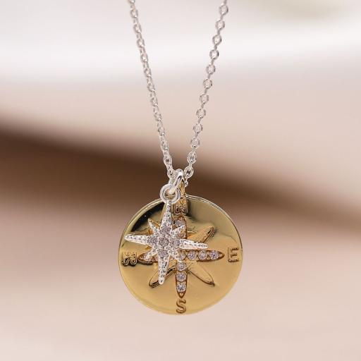 Peace of Mind Silver Plated  and  Faux Gold Compass Necklace with Star