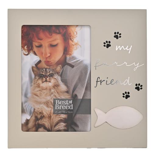 MY FURRY FRIEND FISH ICON CAT FRAME 4X6