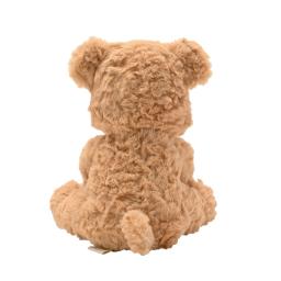 William the Teddy Bear 4.jpg