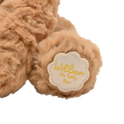 William the Teddy Bear 5.jpg