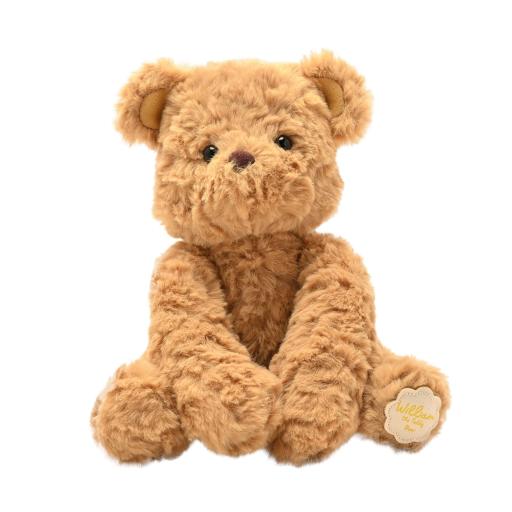 WILLIAM THE PLUSH TEDDY BEAR