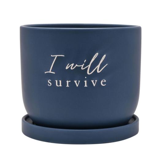 PLANT POT 'I WILL SURVIVE'