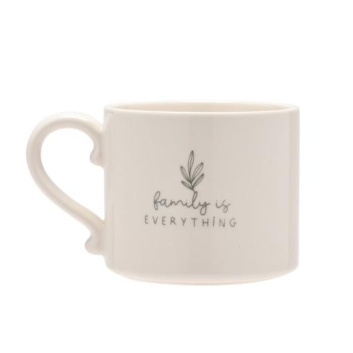 FAMILY IS EVERYTHING BOXED MUG