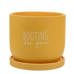 Rooting for You Planter.jpg