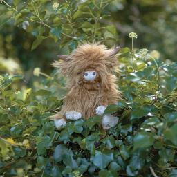 Gordon Junior Plush Highland Cow 2.jpg