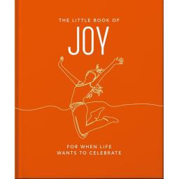 LITTLE BOOK OF JOY.jpg