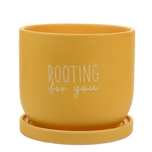 'ROOTING FOR YOU' PLANTER
