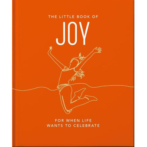 LITTLE BOOK OF JOY BOOK