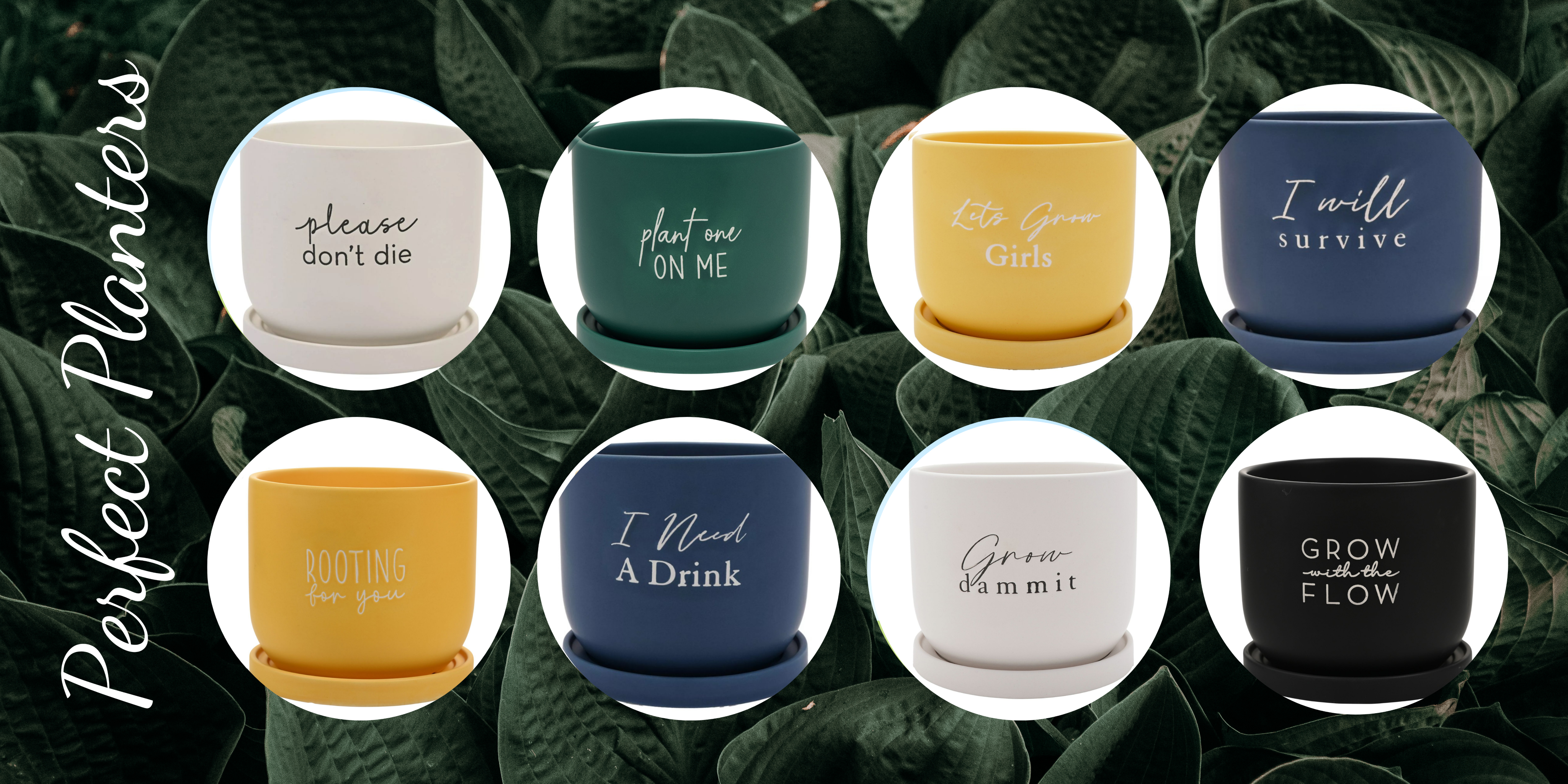 PLANTERS BLOG BANNER 2.png