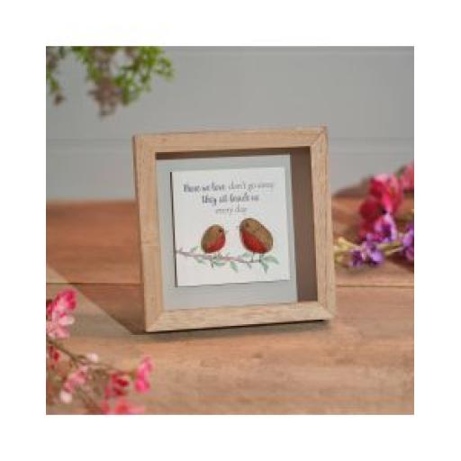 WOODEN FRAMED 'ROBIN THOSE WE LOVE DON'T GO AWAY'