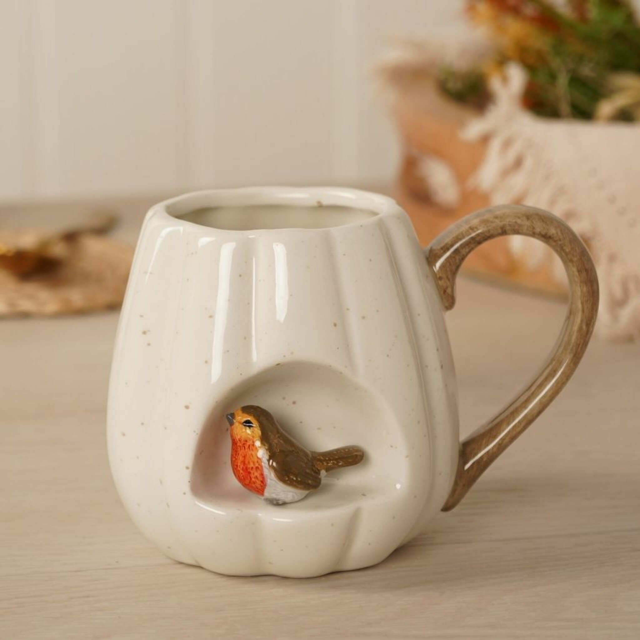 Robin Insert Mug.jpg